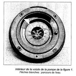 VoluteSI22003.jpg